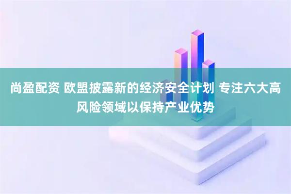 尚盈配资 欧盟披露新的经济安全计划 专注六大高风险领域以保持产业优势